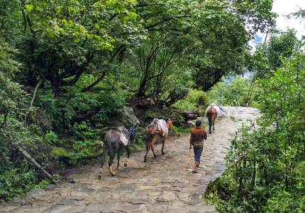 Hemkund Sacred Journey
