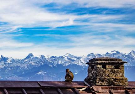 Tour/Taxi Service in Dalhousie