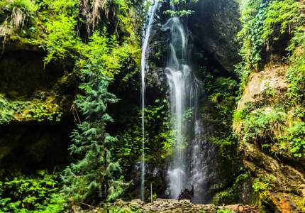 Amritsar to Himachal Himalayan Hill Escape
