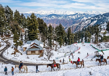 Himachal Tour: Shimla & Manali