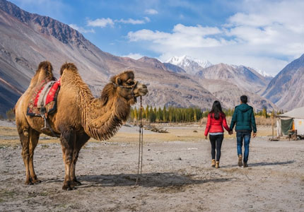 Amritsar to Leh, Nubra & Pangong Tour
