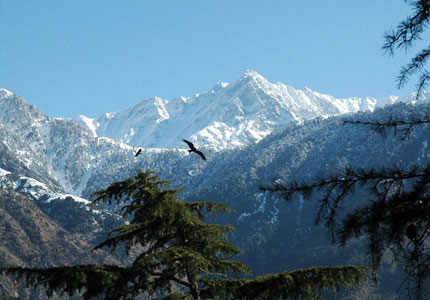 McLeodganj Tour from Chandigarh